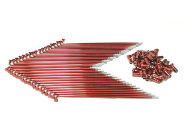 Speichensatz rot (143,5), Simson S50, S51, S70, S53, KR51/1, KR51/2, SR4-1, SR4-2, SR4-3, SR4-4