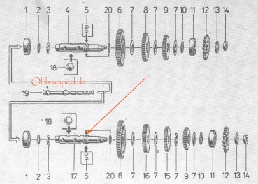 4-Gang Abtriebswelle mit 3-fach-Verrastung bei der Schnurfeder, Simson S51, S53, KR51/2, SR50, S70, MS50