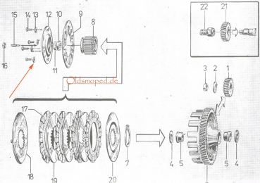 Sicherungsblech mit Nase - für Kupplung (5,3x17x0,75), Simson S51, S70, KR51/2, SR50, SR80, S53, S83, MS50