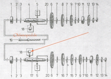 Kugel Ø7 (Getriebe)