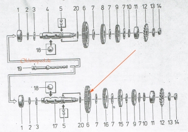 Losrad 1. Gang (44Z), Simson S51, S53, S70, SR50, SD50, KR51/2, MS50