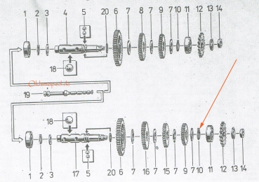Sicherungsring zur Abtriebswelle (24x1,2), Simson S51, S53, S70, SR50, SD50, KR51/2, MS50