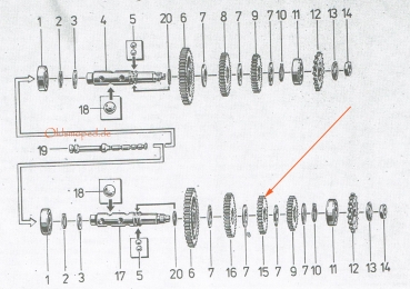 Losrad 3. Gang (36Z), Simson S51, S53, S70, SR50, SD50, KR51/2, MS50