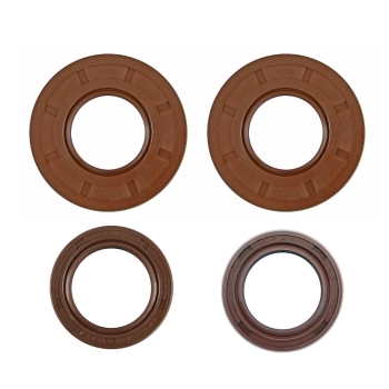 SET Wellendichtringe für Motor (Braun), MZ TS250