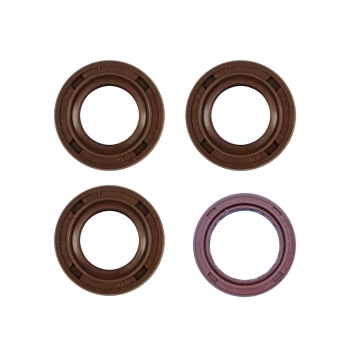 SET Wellendichtringe für Motor (braun), RT125/3
