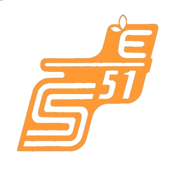 Aufkleber für Seitendeckel (orange), Simson S51Elektro