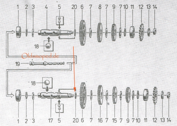 Schnurfeder für Abtriebswelle, Simson S51, S53, S70, S83, SR50, SR80, KR51/2, MS50