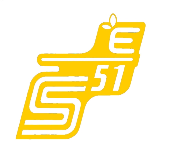 Aufkleber für Seitendeckel (gold), Simson S51Elektro