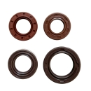 SET Wellendichtringe (Braun), MAW Motor
